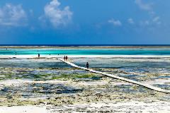 image-gallery