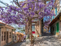image-gallery