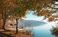 image-gallery