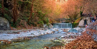 image-gallery