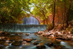 image-gallery